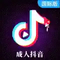 付费tiktok